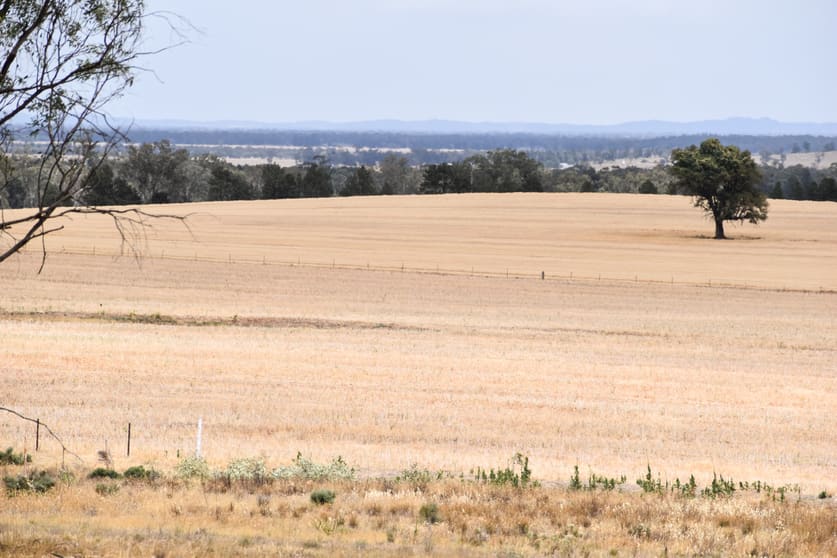 Click to view all images 76 Kerrs Lane Caragabal NSW 2810 - Image 2