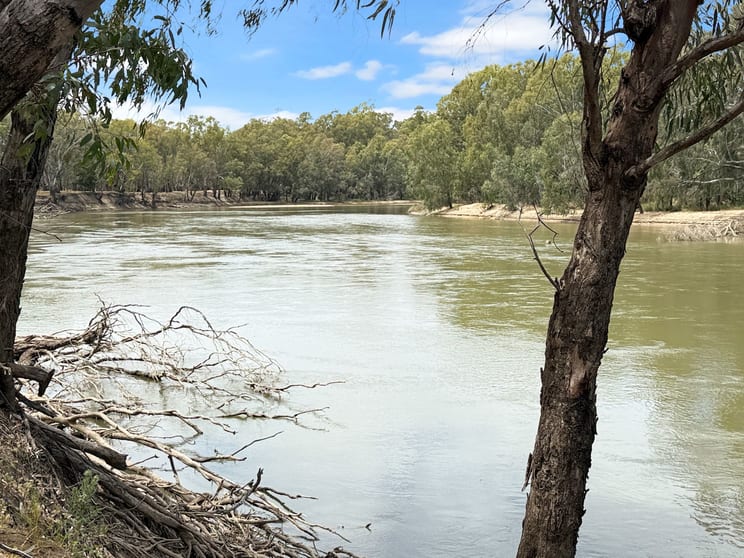 Click to view all images 116 Woolscour Road Narrandera NSW 2700 - Image 1