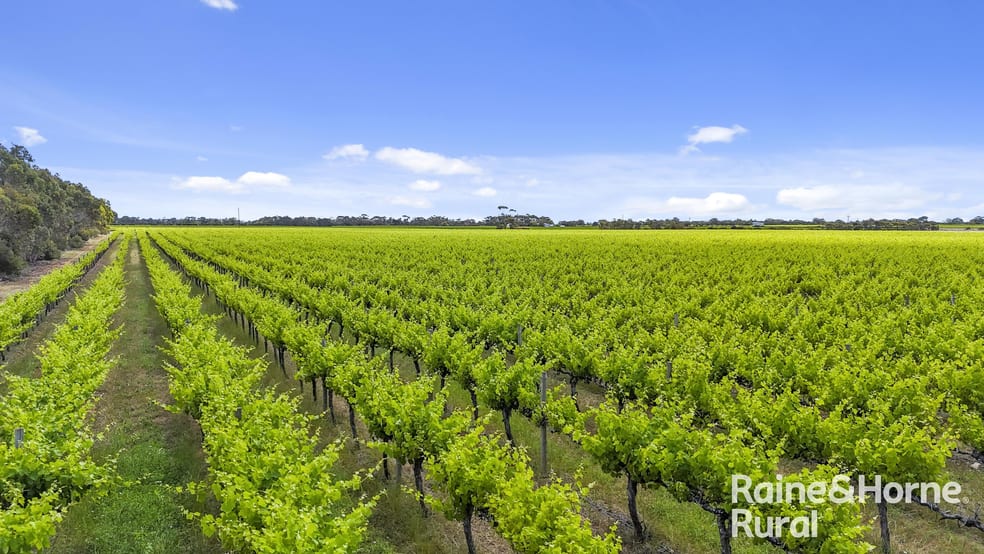 Click to view all images A8 Milang Road Angas Plains SA 5255 - Image 3