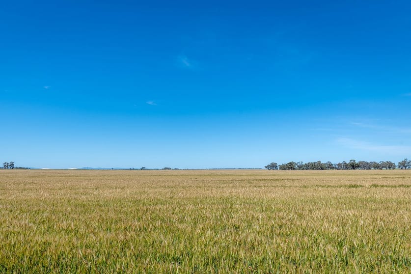 Click to view all images Three Mile Road Vectis VIC 3401 - Image 3