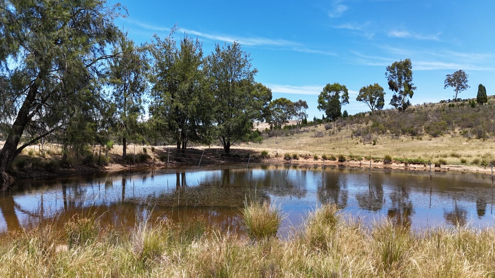 Click to view all images 222 Battery Crossing Road Reids Flat NSW 2586 - Image 1