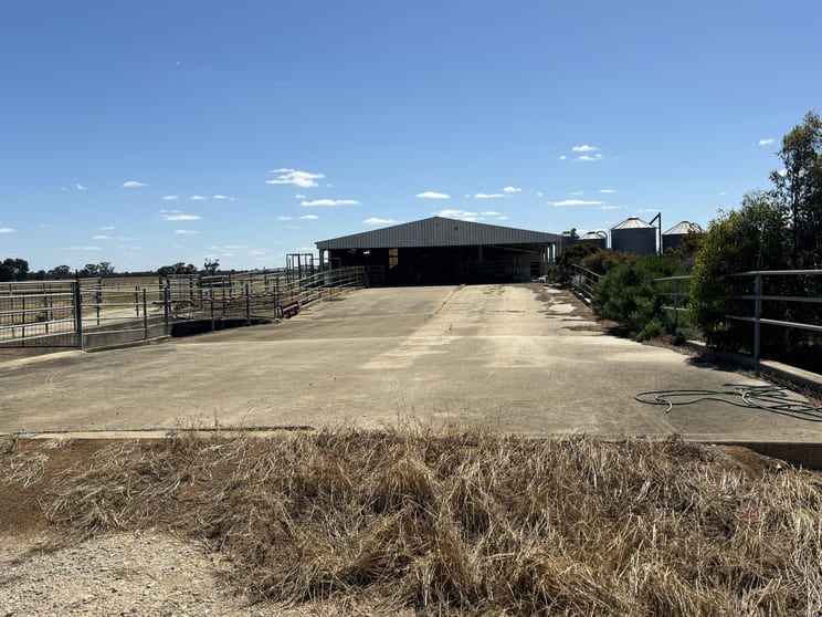 Click to view all images 1595 MacGregor Road Timmering VIC 3561 - Image 2