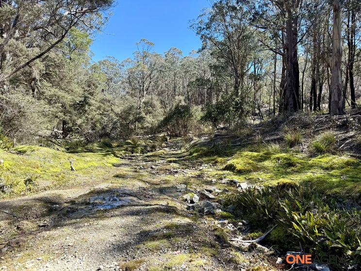 Lots 113 & 114 Kydra Firetrail Greenlands Road Greenlands NSW 2631 - Image 1