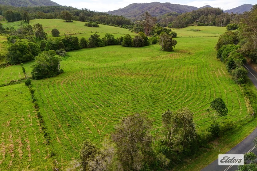 Click to view all images 1589 Comboyne Road Killabakh NSW 2429 - Image 3