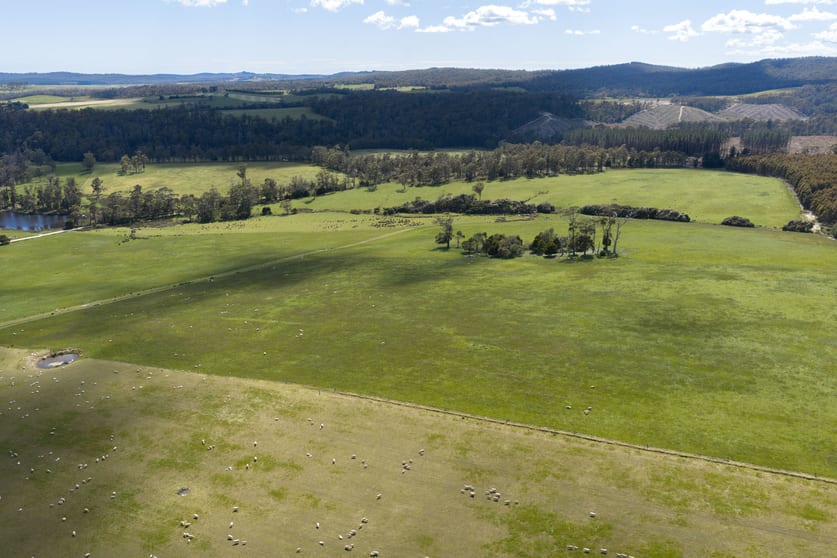 120 Security Road Pipers River TAS 7252 - Image 2