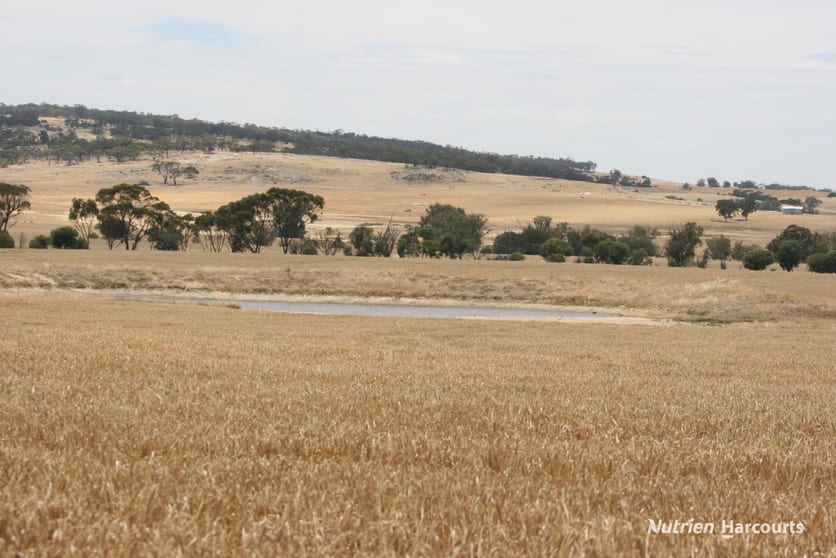 Click to view all images Lot 1306 Talbot West Road Talbot West WA 6302 - Image 1