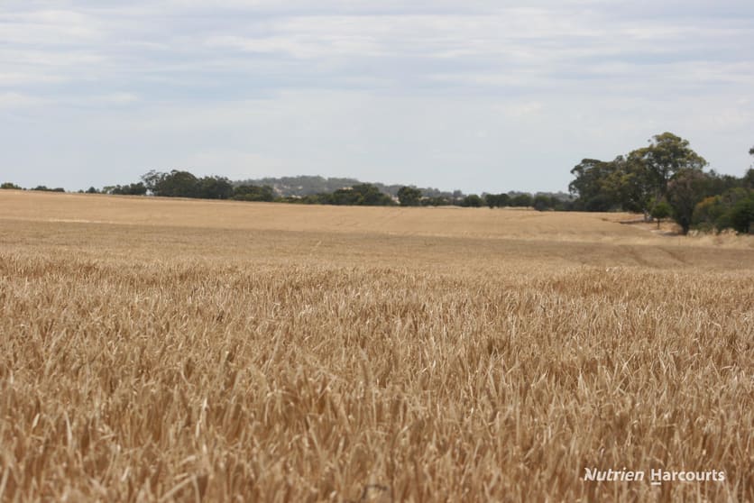 Click to view all images Lot 1306 Talbot West Road Talbot West WA 6302 - Image 2