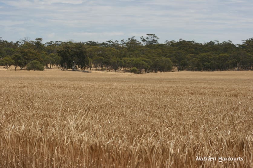 Click to view all images Lot 1306 Talbot West Road Talbot West WA 6302 - Image 3