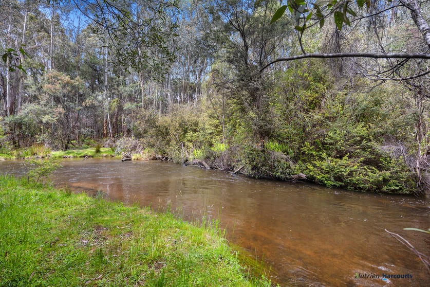 Click to view all images 1899 Maroondah Highway Buxton VIC 3711 - Image 3
