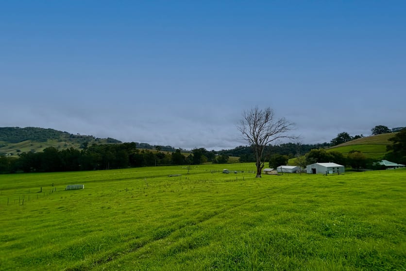 Click to view all images 1644 Paterson River Road Lostock NSW 2311 - Image 3