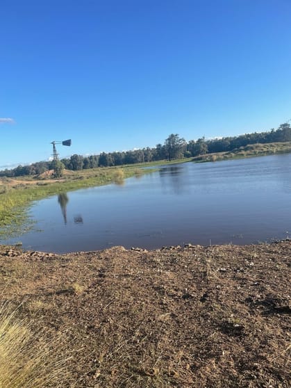 9812 Pilliga Road Coonamble NSW 2829 - Image 3