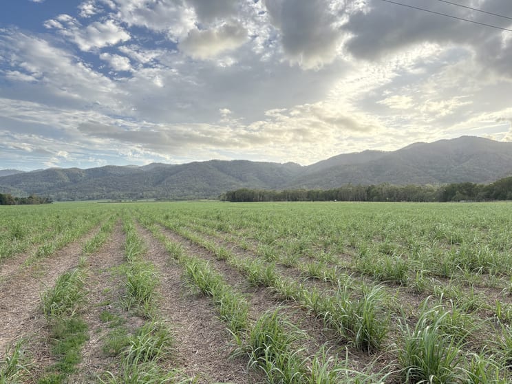Click to view all images 2/ Sievers Road Oakenden QLD 4741 - Image 3
