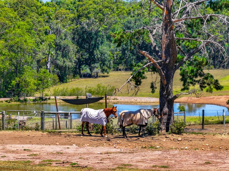 125 Moulders Road Orangeville NSW 2570 - Image 2