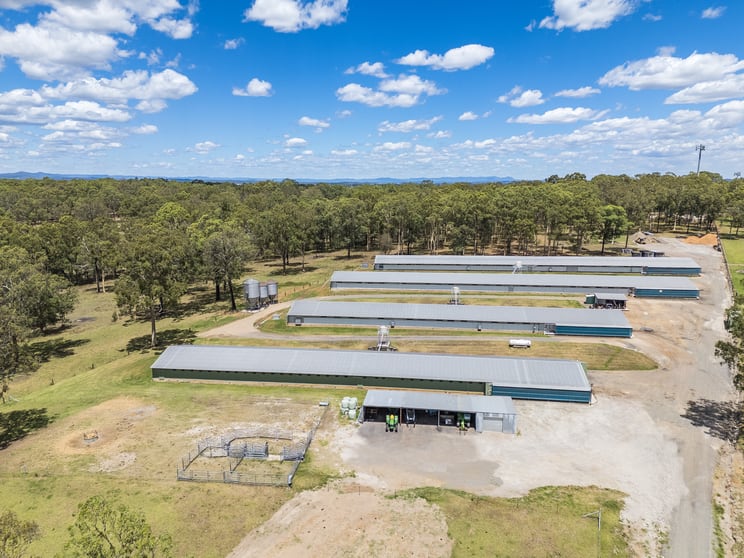 Click to view all images 667 Seaham Road Nelsons Plains NSW 2324 - Image 1