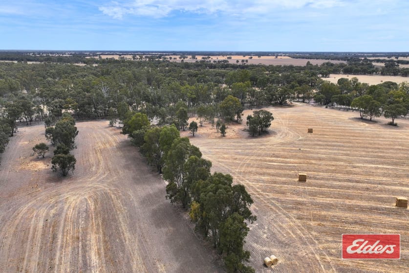 1971 Stewarts Bridge Road Echuca VIC 3564 - Image 3