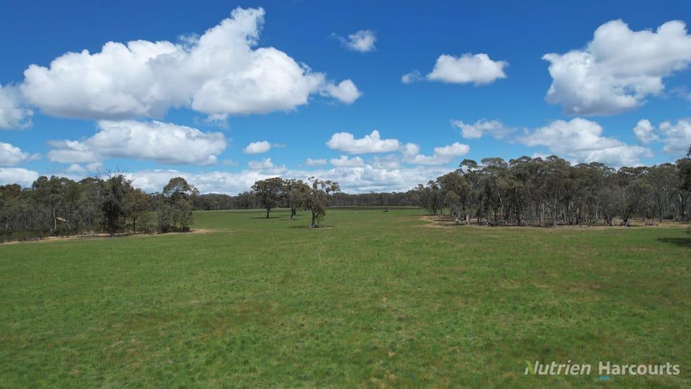 345 McDonalds Road Clunes VIC 3370 - Image 1