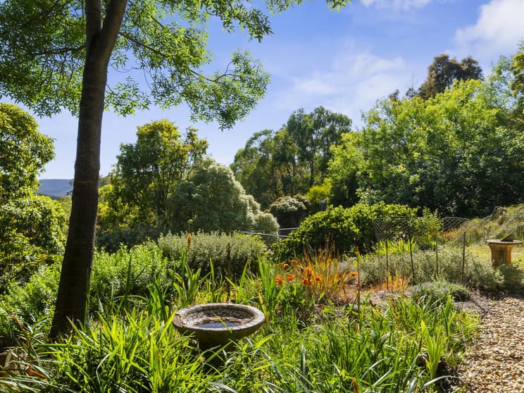 486 Mitchell Road Tatong VIC 3673 - Image 3