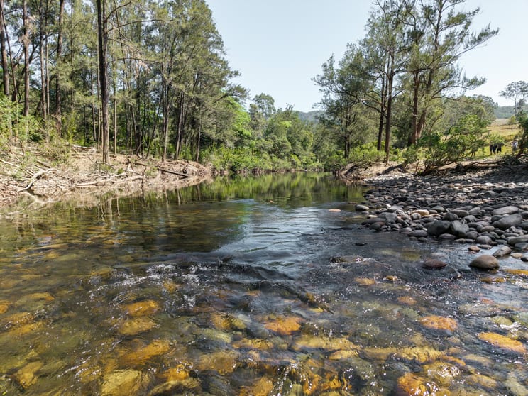 Click to view all images 689 Manchester Road, Via Gloucester Bindera NSW 2422 - Image 3