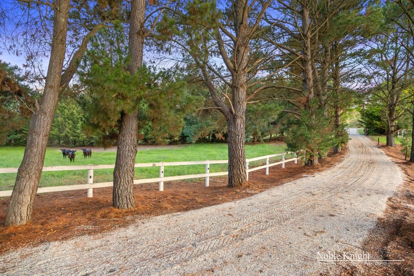 5381 Melba Highway Yea VIC 3717 - Image 3