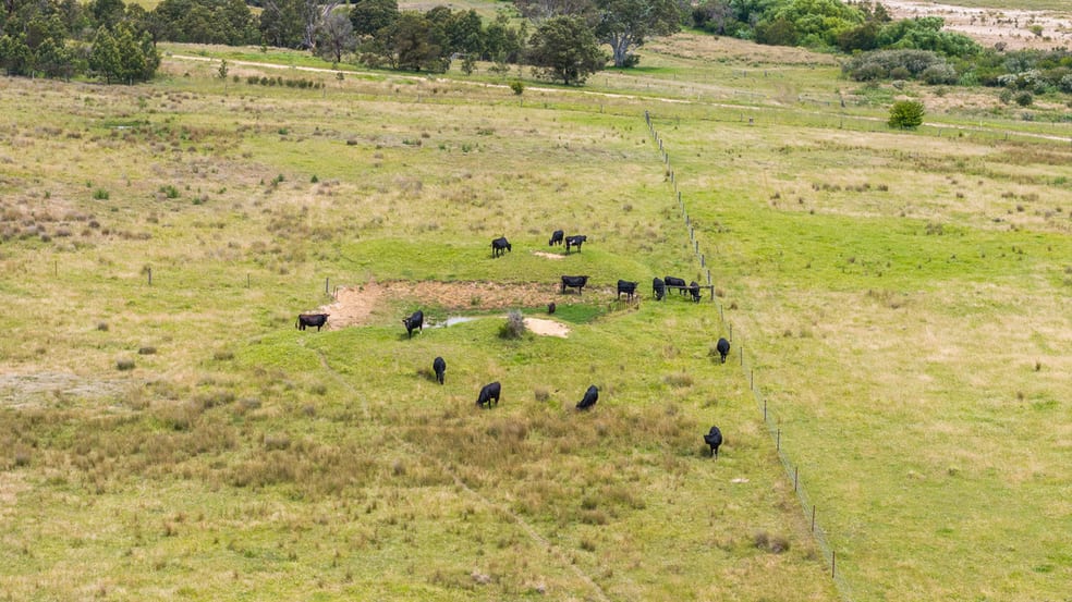 Click to view all images 2/ Redbank Road Stratford VIC 3862 - Image 3