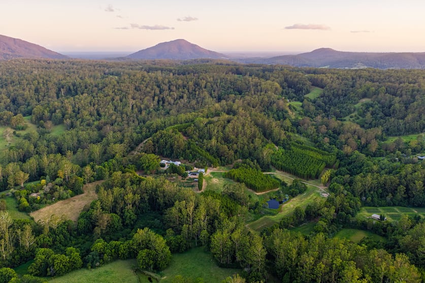 Click to view all images 661 Stewarts River Road Lorne NSW 2439 - Image 3