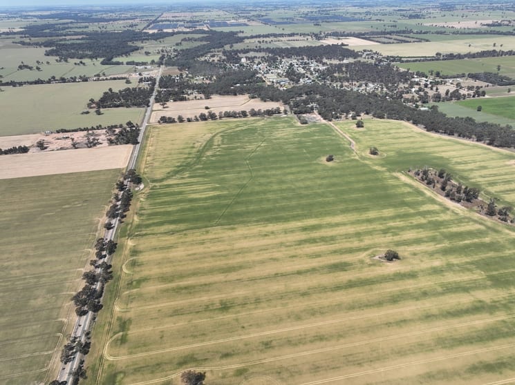 175 Kaarimba Road Wunghnu VIC 3635 - Image 2
