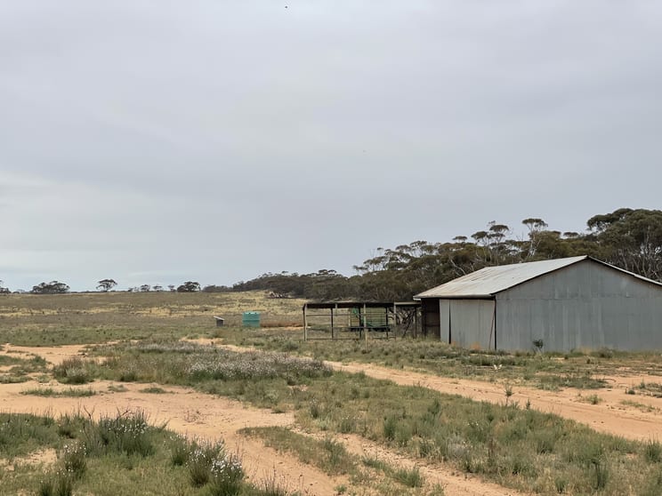 2440 Black Hill Road Black Hill SA 5353 - Image 2