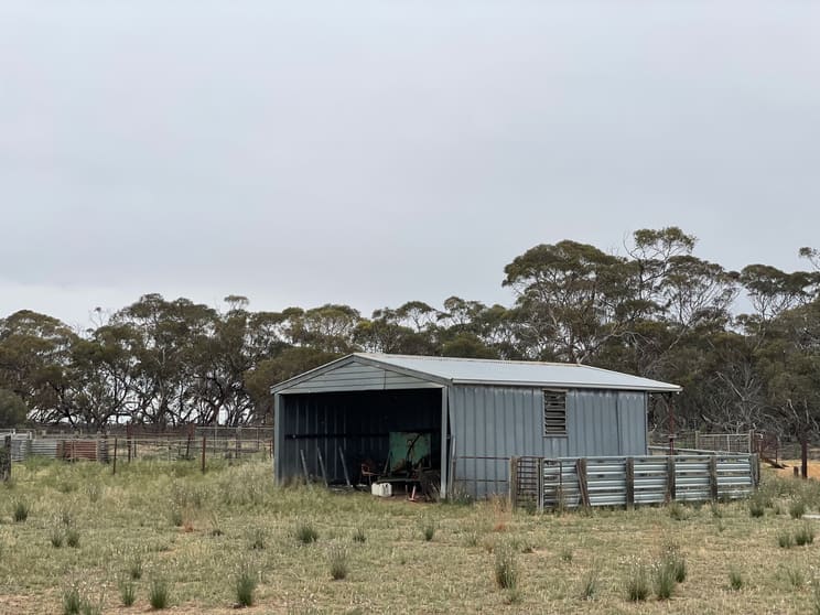2440 Black Hill Road Black Hill SA 5353 - Image 3