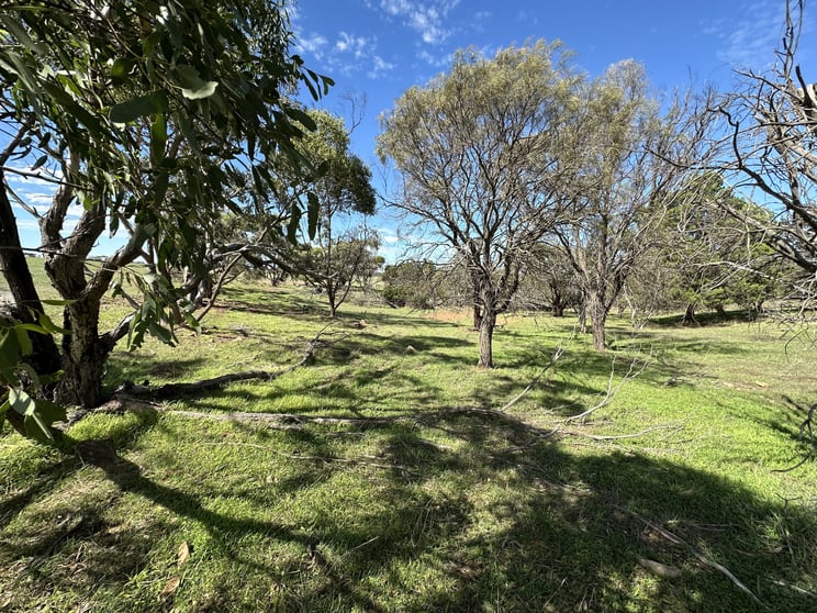Click to view all images Lot 1 Highland Road Monarto SA 5254 - Image 1