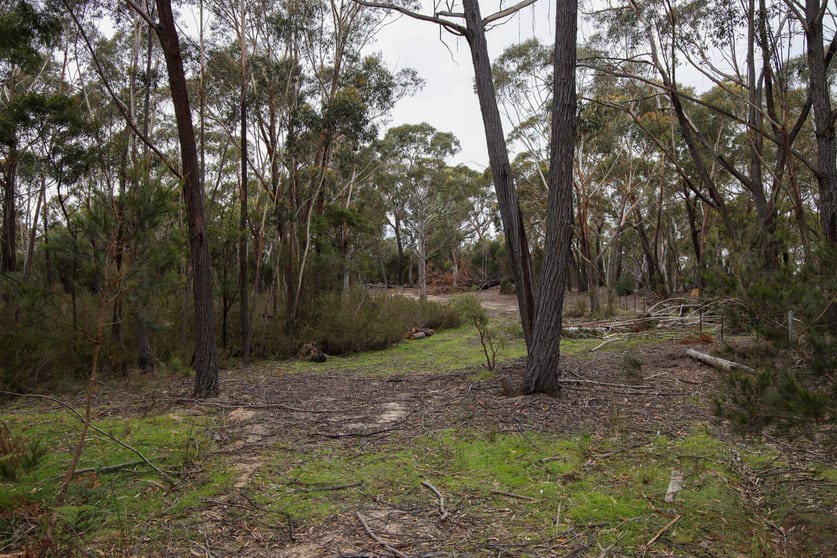 Click to view all images 1887 Oallen Ford Road Oallen NSW 2622 - Image 1