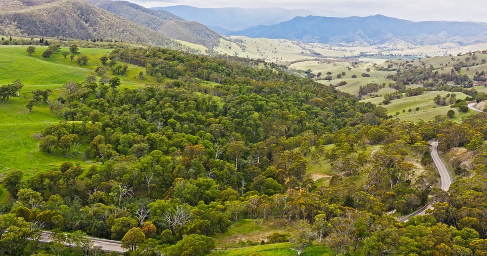 Lot 2 - 289 Tongio Gap Road Tongio VIC 3896 - Image 2