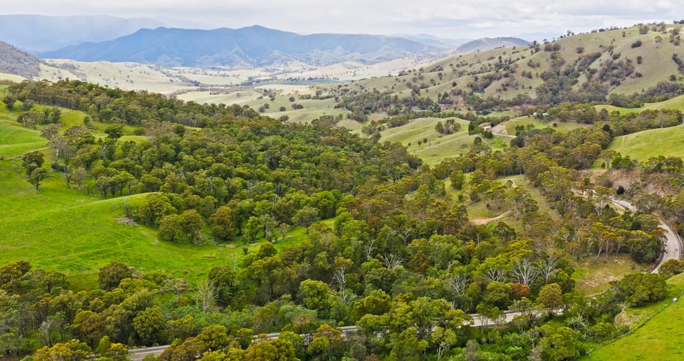 Lot 2 - 289 Tongio Gap Road Tongio VIC 3896 - Image 3