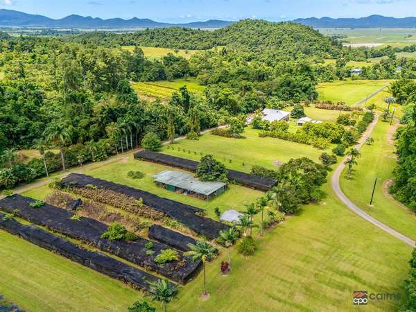 Click to view all images 176 Healy Road Mirriwinni QLD 4871 - Image 3