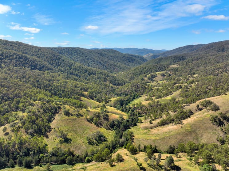 Click to view all images 1060 Eaglehawk Trail Yarrowitch NSW 2354 - Image 2