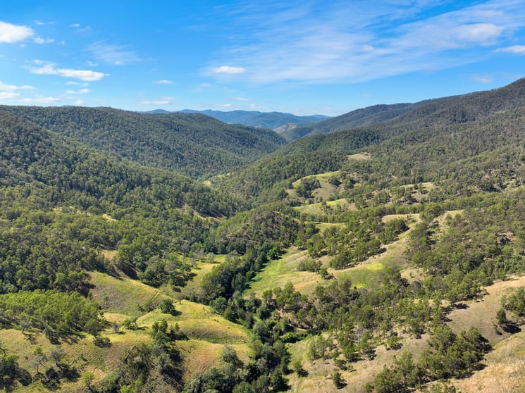 Click to view all images 1060 Eaglehawk Trail Yarrowitch NSW 2354 - Image 3