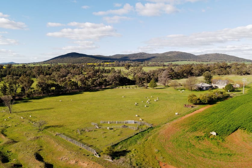 Click to view all images 318 Post Office Road Trungley Hall NSW 2666 - Image 2