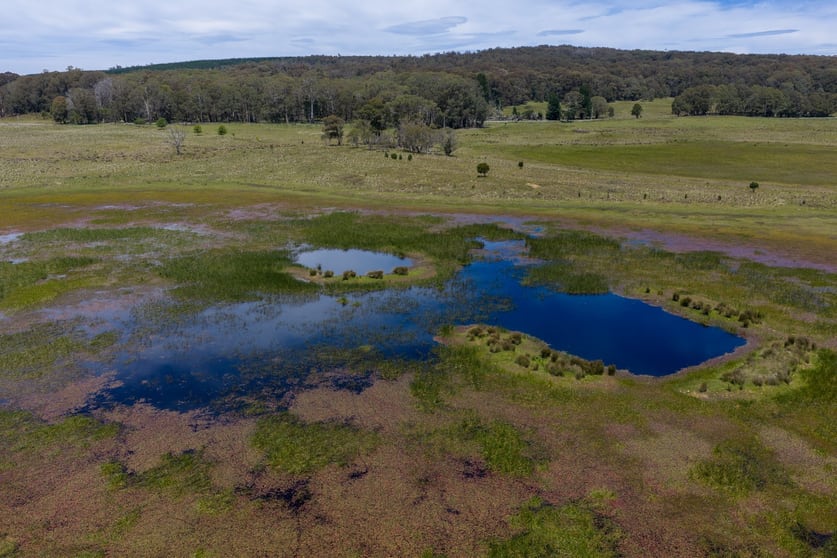 Click to view all images Thornleigh Coolangubra Road Cathcart NSW 2632 - Image 2