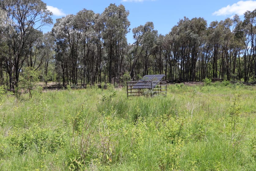 92 Weale Creek Road Dalma QLD 4702 - Image 3