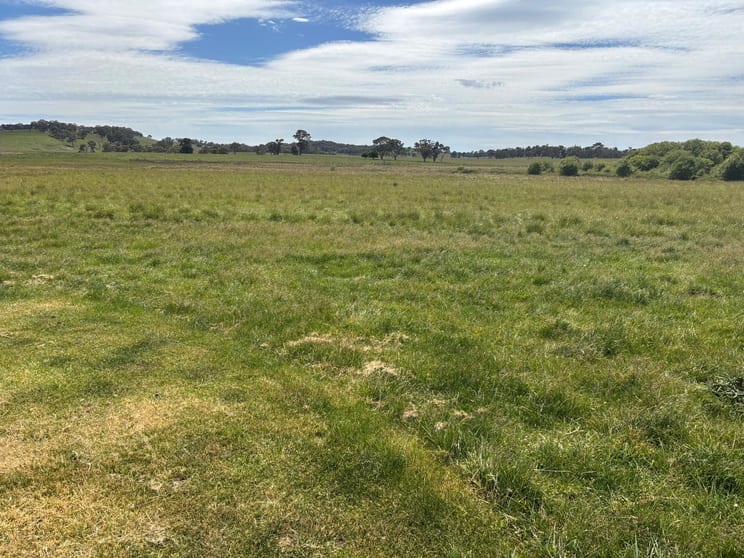 1456 Hobbys Yards Road Hobbys Yards NSW 2795 - Image 2