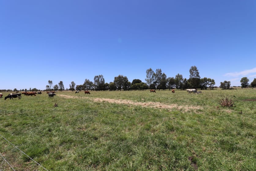 Click to view all images 1899 Leitchville-Kerang Road Macorna North VIC 3568 - Image 1