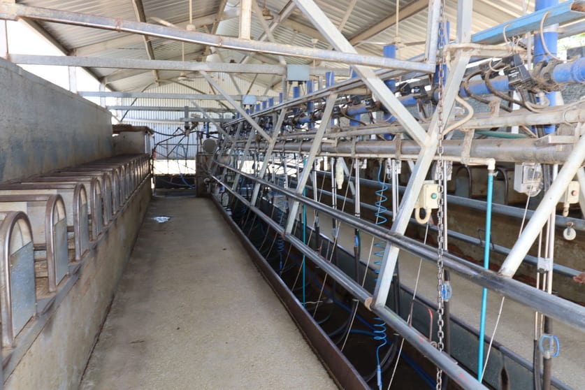 Click to view all images 1899 Leitchville-Kerang Road Macorna North VIC 3568 - Image 2