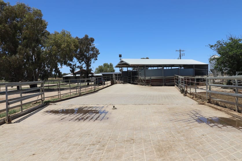 Click to view all images 1899 Leitchville-Kerang Road Macorna North VIC 3568 - Image 3