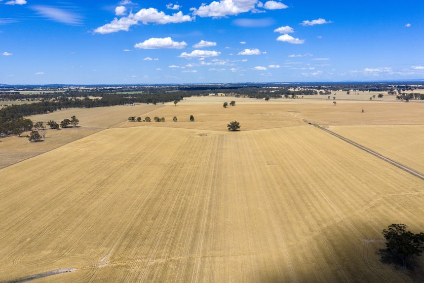Click to view all images 600 Trevaskis Road Kialla East VIC 3631 - Image 2