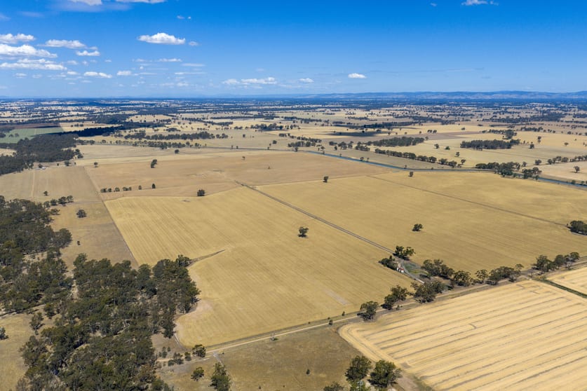 Click to view all images 600 Trevaskis Road Kialla East VIC 3631 - Image 3