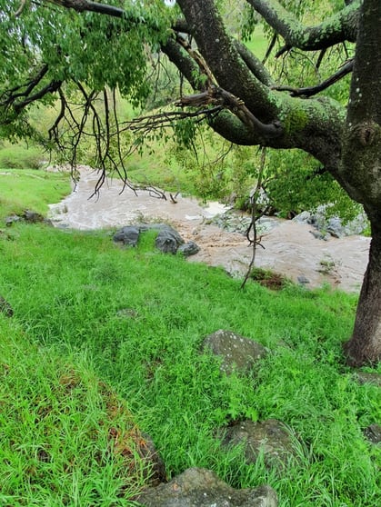 Lot 31 Lehmans Road Talgarno VIC 3691 - Image 3