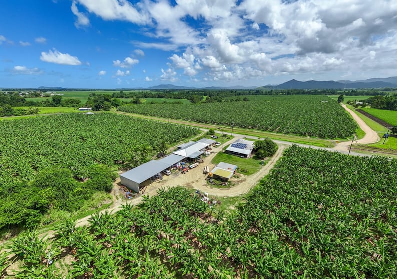 Click to view all images 192 Walter Lever Estate Road Walter Lever Estate QLD 4856 - Image 2