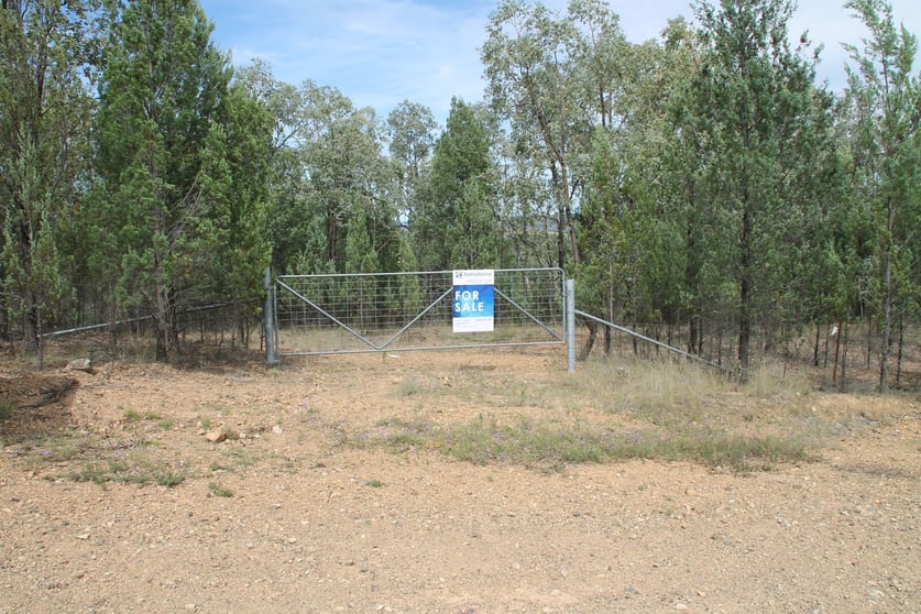 Click to view all images Lot 19 Mountain Creek Road Tenterfield NSW 2372 - Image 1
