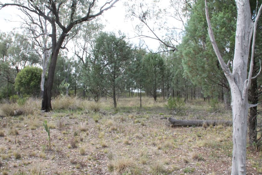 Click to view all images Lot 19 Mountain Creek Road Tenterfield NSW 2372 - Image 3