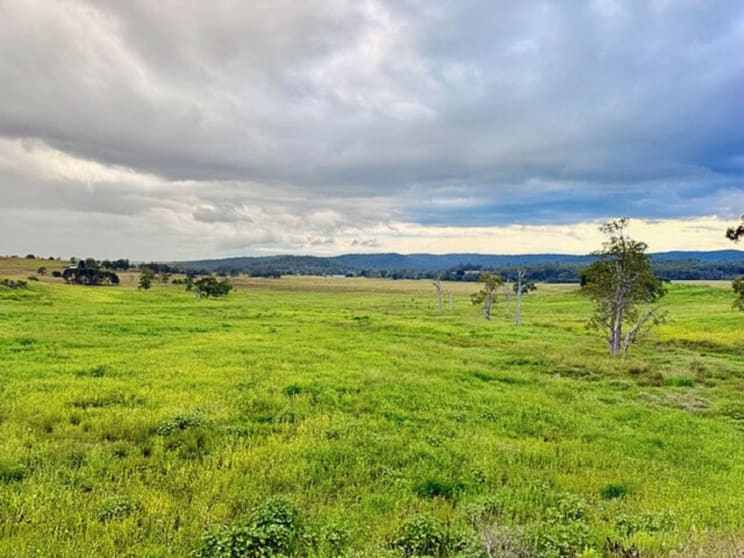 4411 Bruxner Highway Piora NSW 2470 - Image 2