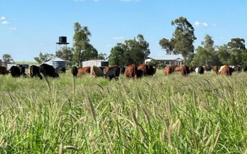 Click to view all images 1970 Saltern Creek Road Barcaldine QLD 4725 - Image 2